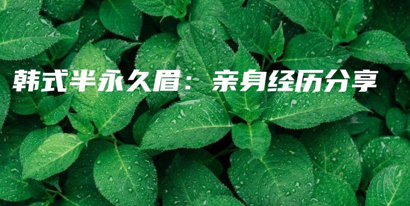 韓式半永久眉：親身經(jīng)歷分享插圖