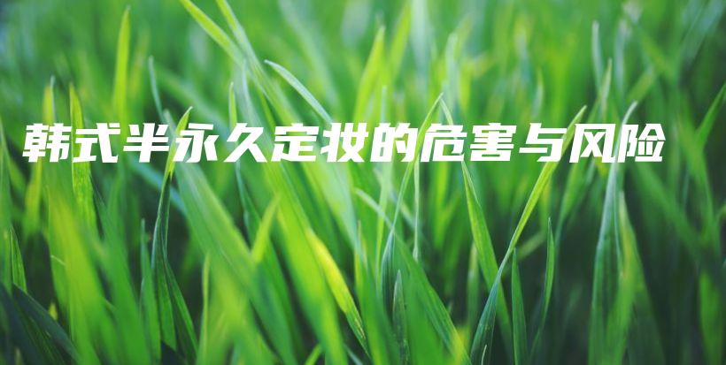 韓式半永久定妝的危害與風(fēng)險(xiǎn)插圖