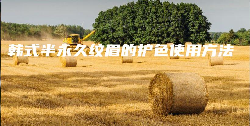 韓式半永久紋眉的護(hù)色使用方法插圖