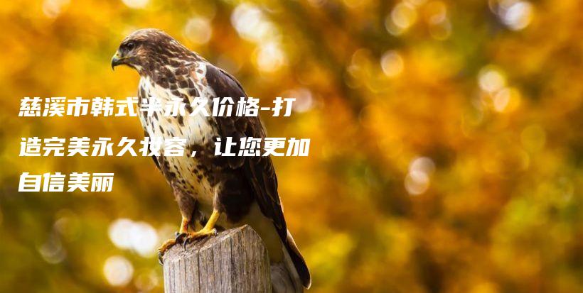 慈溪市韓式半永久價格-打造完美永久妝容，讓您更加自信美麗插圖