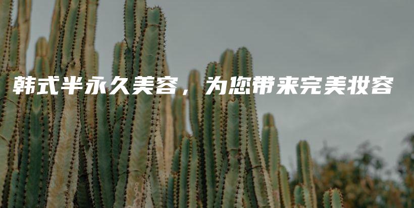 韓式半永久美容，為您帶來完美妝容插圖