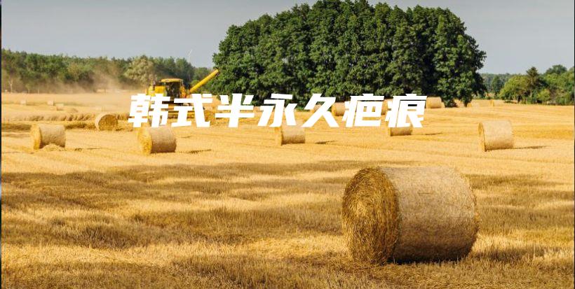 韓式半永久疤痕插圖