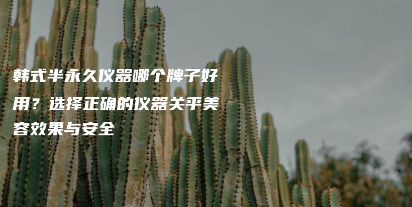 韓式半永久儀器哪個(gè)牌子好用？選擇正確的儀器關(guān)乎美容效果與安全插圖