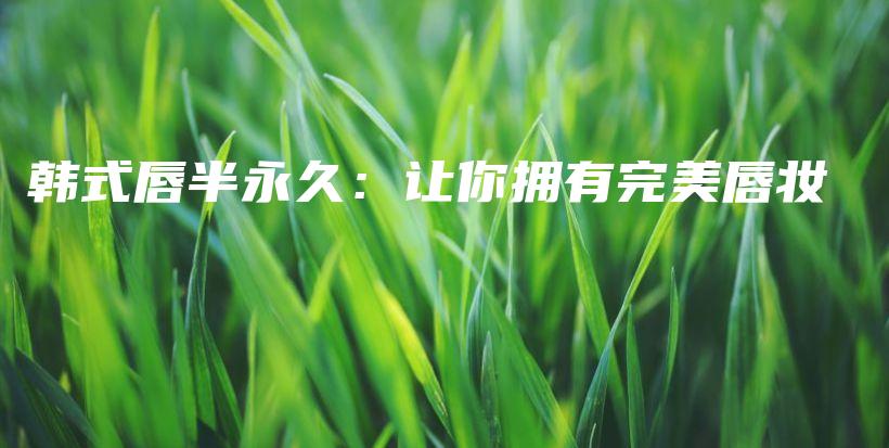 韓式唇半永久：讓你擁有完美唇妝插圖