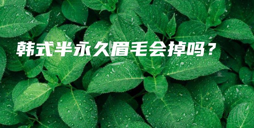 韓式半永久眉毛會(huì)掉嗎？插圖