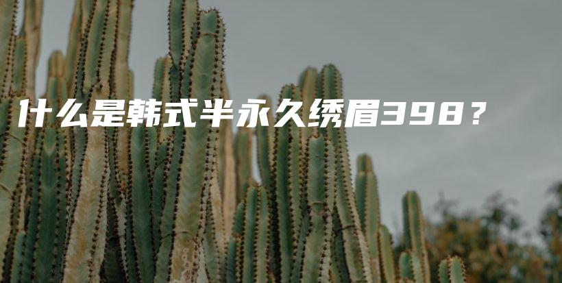 什么是韓式半永久繡眉398？插圖