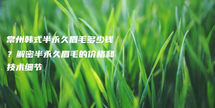 常州韓式半永久眉毛多少錢？解密半永久眉毛的價格和技術(shù)細(xì)節(jié)插圖
