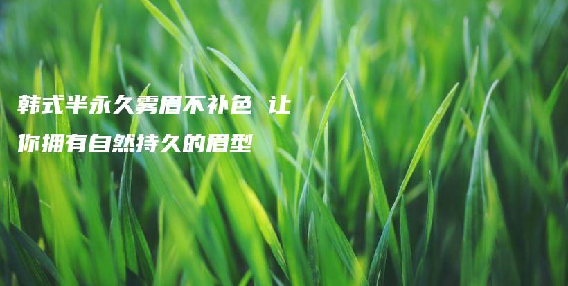 韓式半永久霧眉不補色 讓你擁有自然持久的眉型插圖