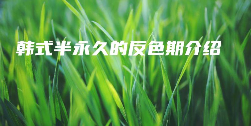 韓式半永久的反色期介紹插圖