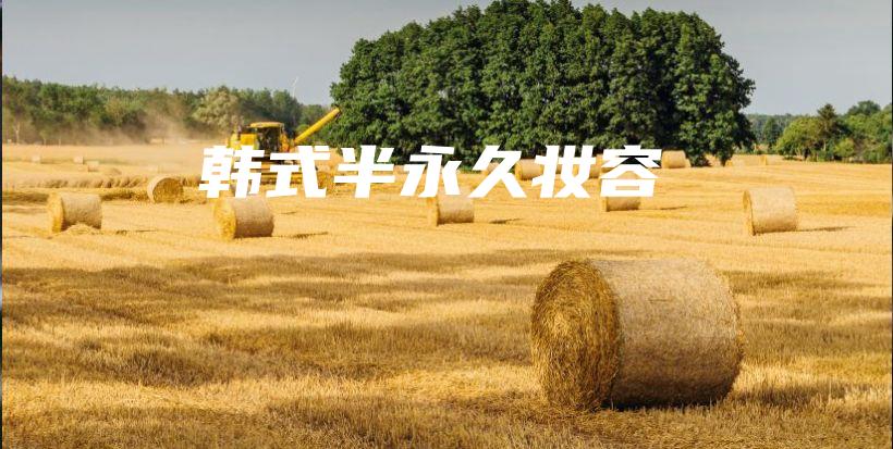 韓式半永久妝容插圖