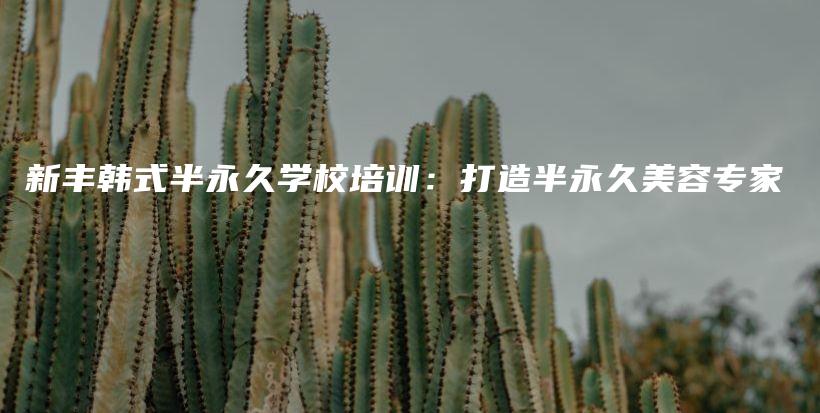 新豐韓式半永久學(xué)校培訓(xùn)：打造半永久美容專家插圖