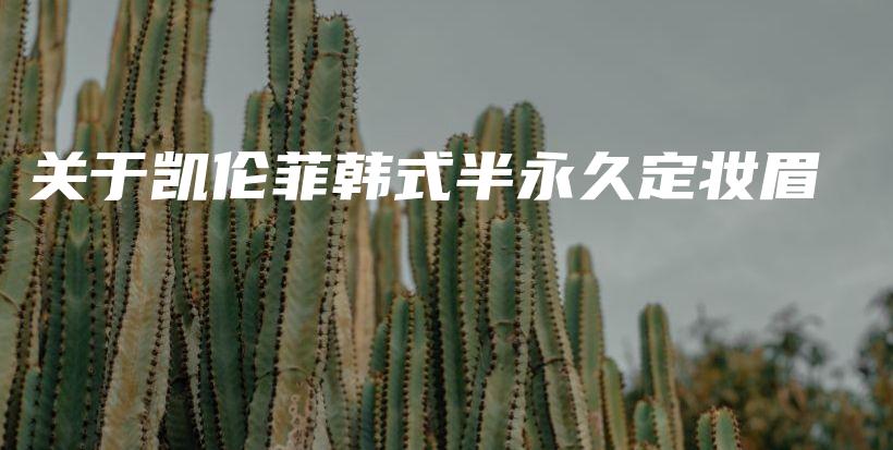 關(guān)于凱倫菲韓式半永久定妝眉插圖