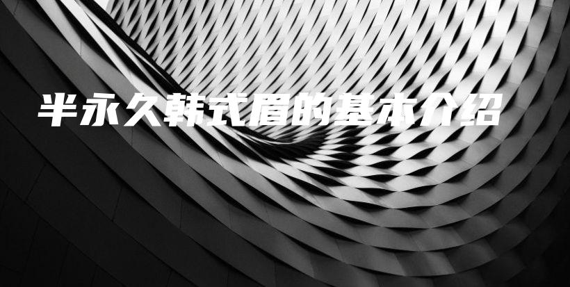 半永久韓式眉的基本介紹插圖