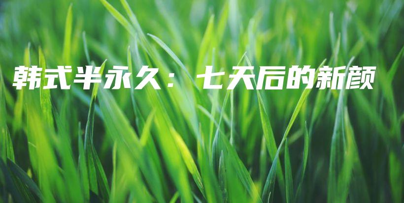 韓式半永久：七天后的新顏插圖