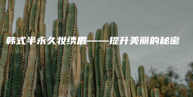 韓式半永久妝繡眉——提升美麗的秘密插圖