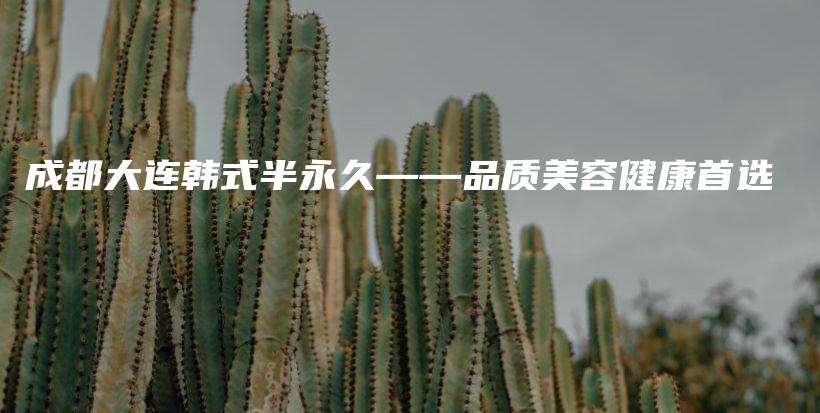 成都大連韓式半永久——品質(zhì)美容健康首選插圖