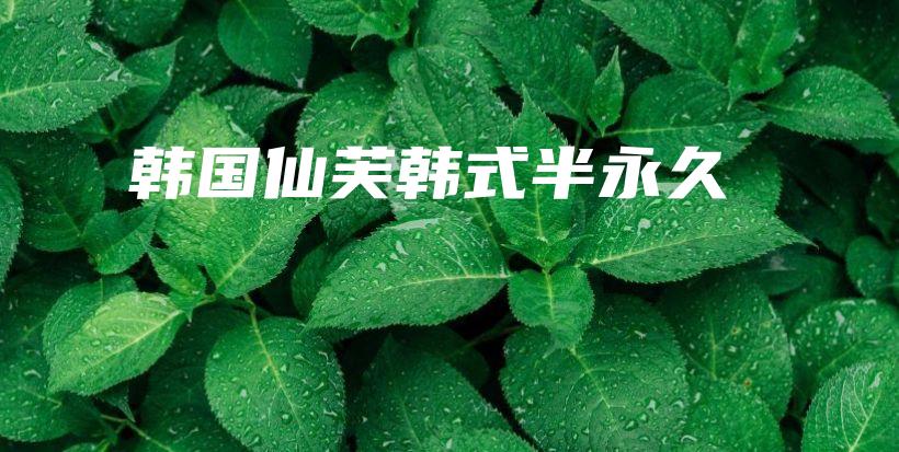 韓國仙芙韓式半永久插圖