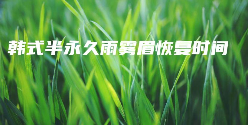 韓式半永久雨霧眉恢復時間插圖