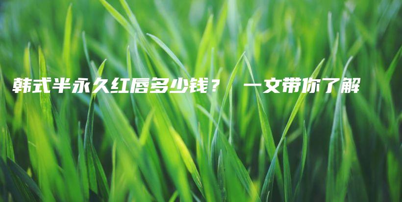 韓式半永久紅唇多少錢？ 一文帶你了解插圖
