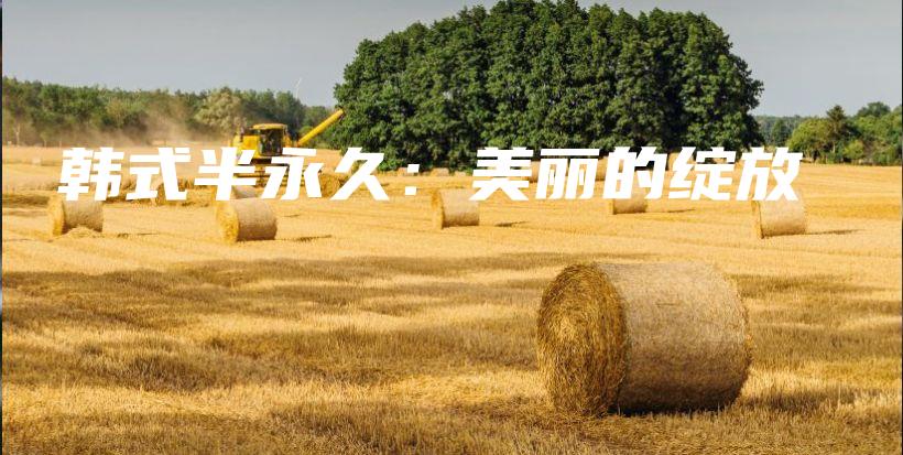 韓式半永久：美麗的綻放插圖