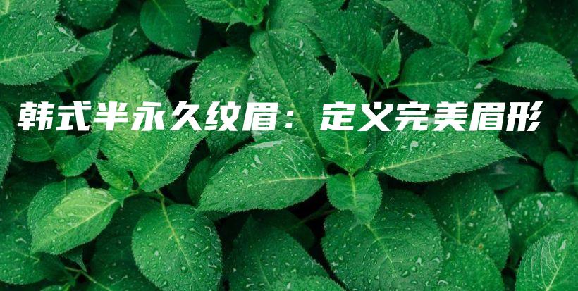 韓式半永久紋眉：定義完美眉形插圖