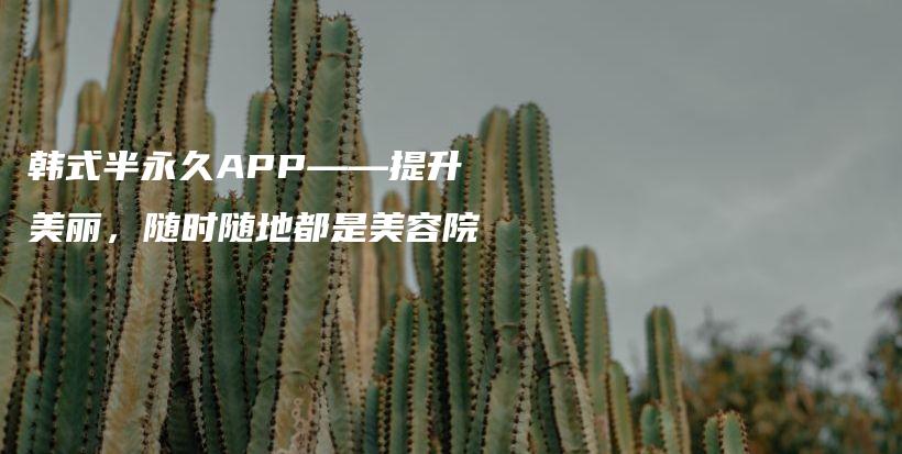 韓式半永久APP——提升美麗，隨時隨地都是美容院插圖