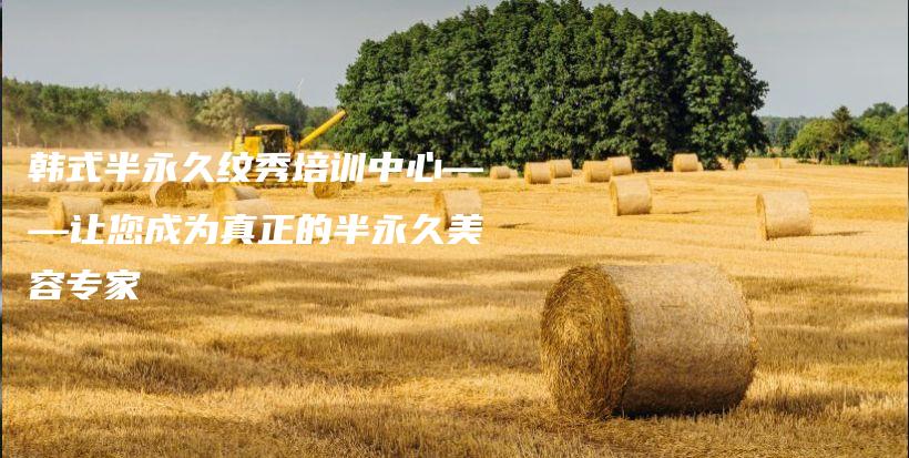 韓式半永久紋秀培訓(xùn)中心——讓您成為真正的半永久美容專家插圖