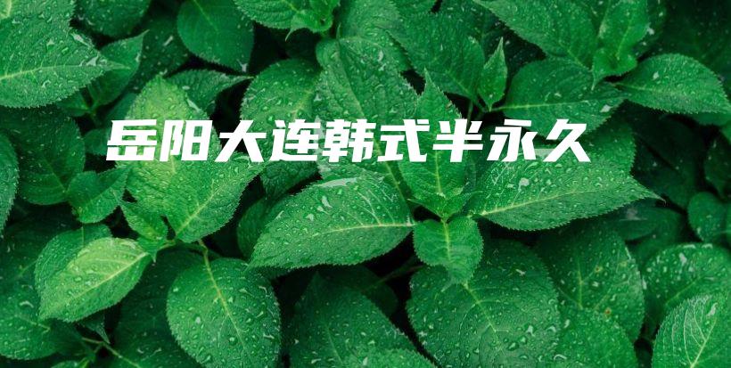 岳陽(yáng)大連韓式半永久插圖