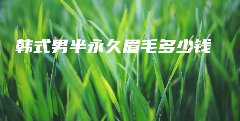 韓式男半永久眉毛多少錢插圖