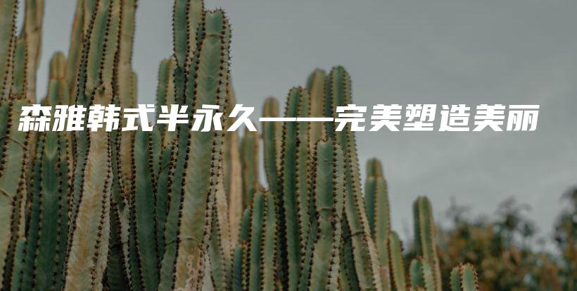 森雅韓式半永久——完美塑造美麗插圖