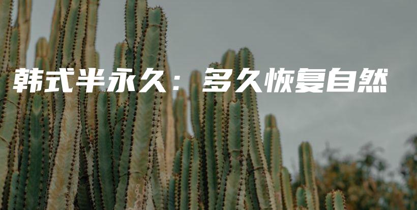 韓式半永久：多久恢復(fù)自然插圖