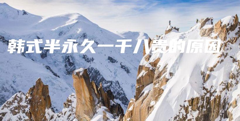 韓式半永久一千八貴的原因插圖