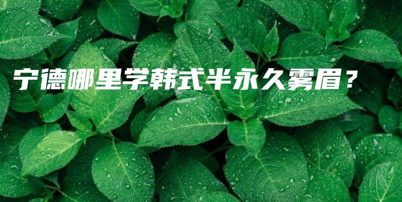寧德哪里學韓式半永久霧眉？插圖