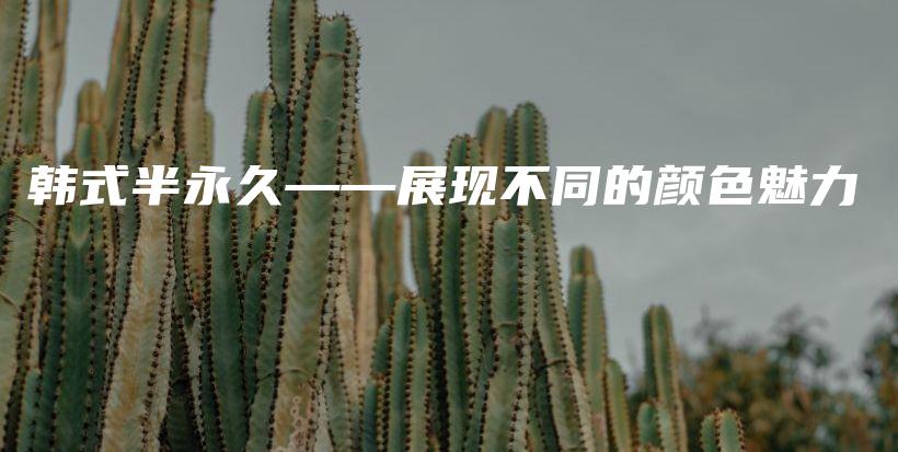 韓式半永久——展現(xiàn)不同的顏色魅力插圖