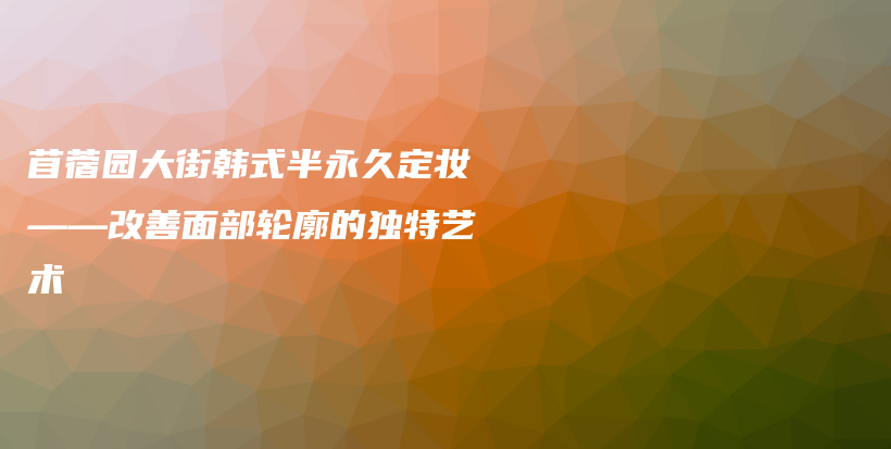 苜蓿園大街韓式半永久定妝——改善面部輪廓的獨特藝術(shù)插圖