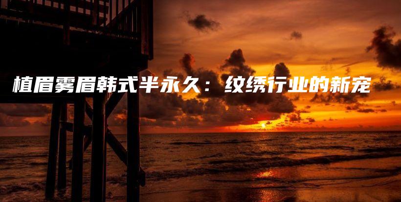 植眉霧眉韓式半永久：紋繡行業(yè)的新寵插圖