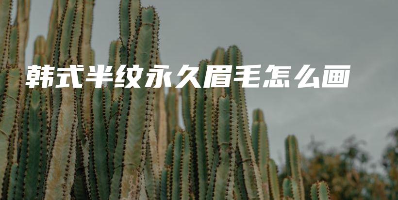 韓式半紋永久眉毛怎么畫插圖
