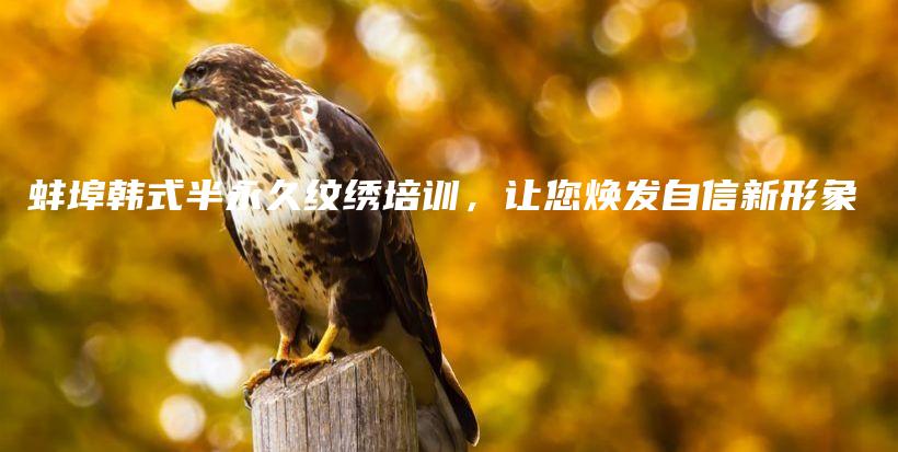蚌埠韓式半永久紋繡培訓，讓您煥發(fā)自信新形象插圖
