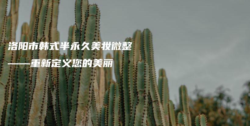 洛陽市韓式半永久美妝微整——重新定義您的美麗插圖