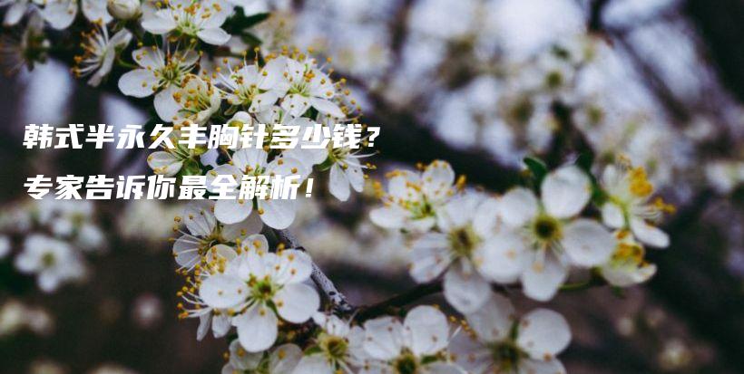 韓式半永久豐胸針多少錢？專家告訴你最全解析！插圖