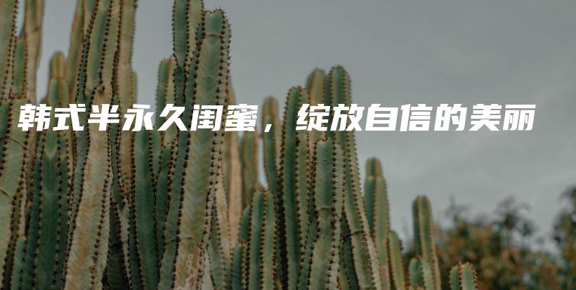 韓式半永久閨蜜，綻放自信的美麗插圖