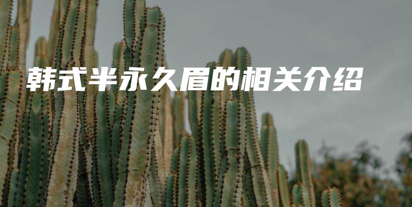 韓式半永久眉的相關介紹插圖
