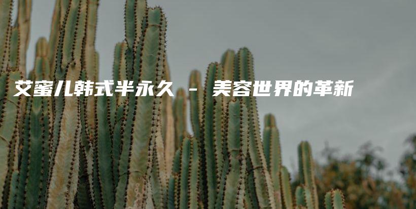 艾蜜兒韓式半永久 – 美容世界的革新插圖