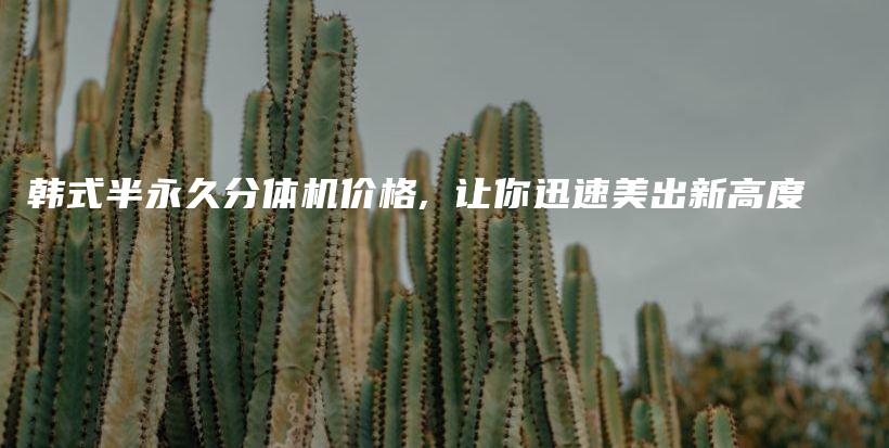 韓式半永久分體機(jī)價(jià)格, 讓你迅速美出新高度插圖