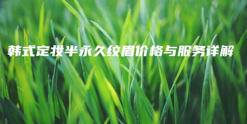 韓式定妝半永久紋眉價格與服務(wù)詳解插圖