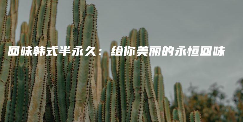 回味韓式半永久：給你美麗的永恒回味插圖
