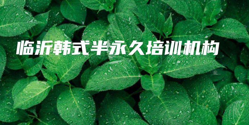 臨沂韓式半永久培訓(xùn)機(jī)構(gòu)插圖