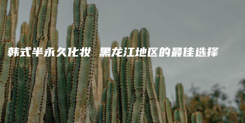 韓式半永久化妝 黑龍江地區(qū)的最佳選擇插圖