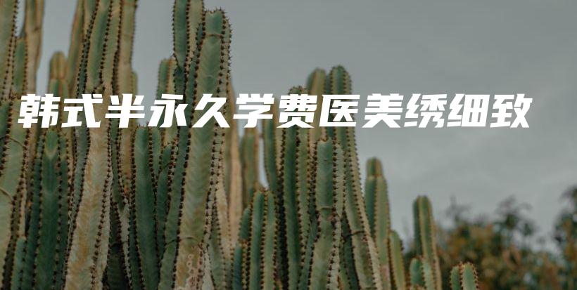 韓式半永久學(xué)費(fèi)醫(yī)美繡細(xì)致插圖