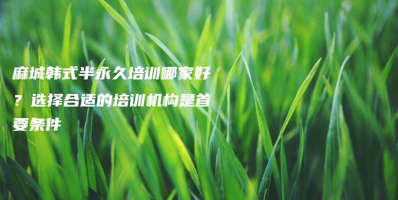 麻城韓式半永久培訓(xùn)哪家好？選擇合適的培訓(xùn)機構(gòu)是首要條件插圖